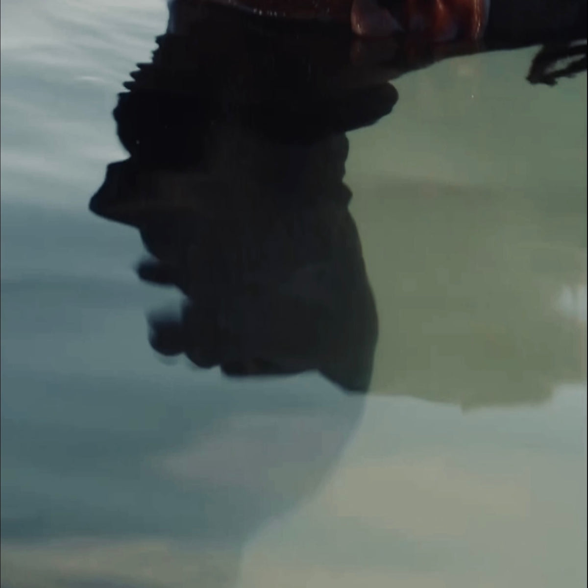 Those that Chose the Water Song Download